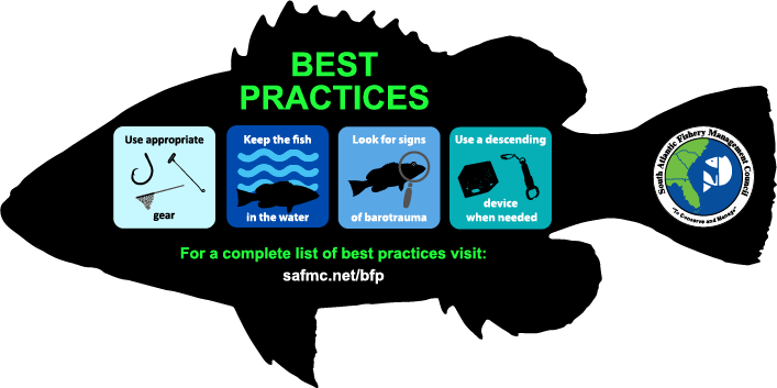 Best Fishing Practices logo. A black fish listing practices taken to improve survivorship.