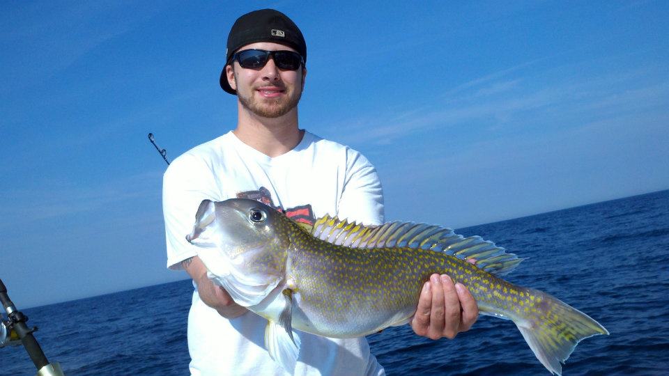 Man holds a Golden Tilefish on a boat offshore.