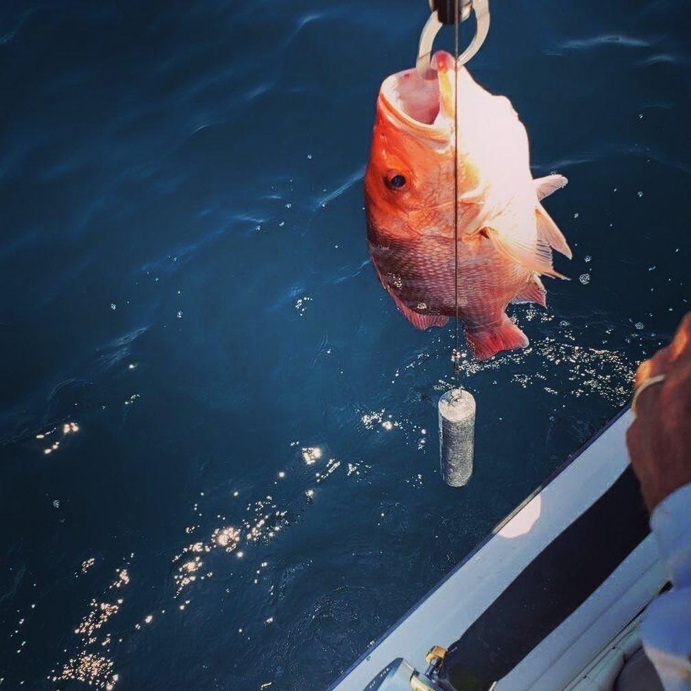 Descending Devices for the Snapper/Grouper Fishery 