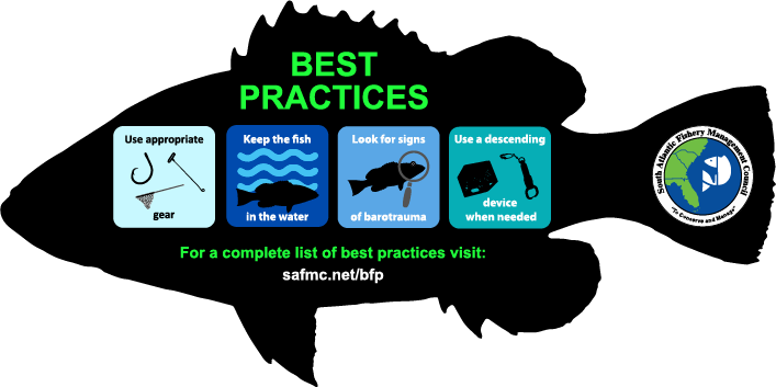 Best Fishing Practices Logo