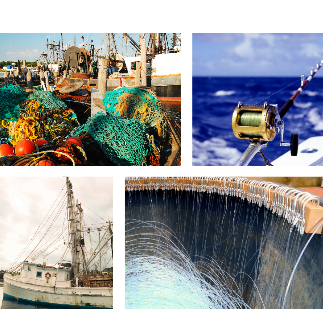 A collage of commercial fishing operations.